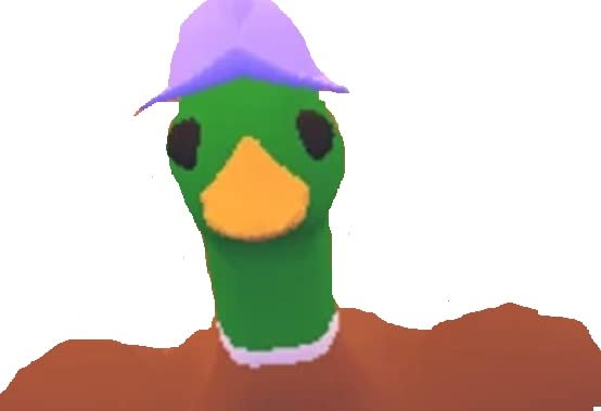 (Flamingo Mega FR) Top Online Game Adopt me Items, Pets, Eggs, Toys, Virtual Game Items, in Game Delivery, Read Description Carefully