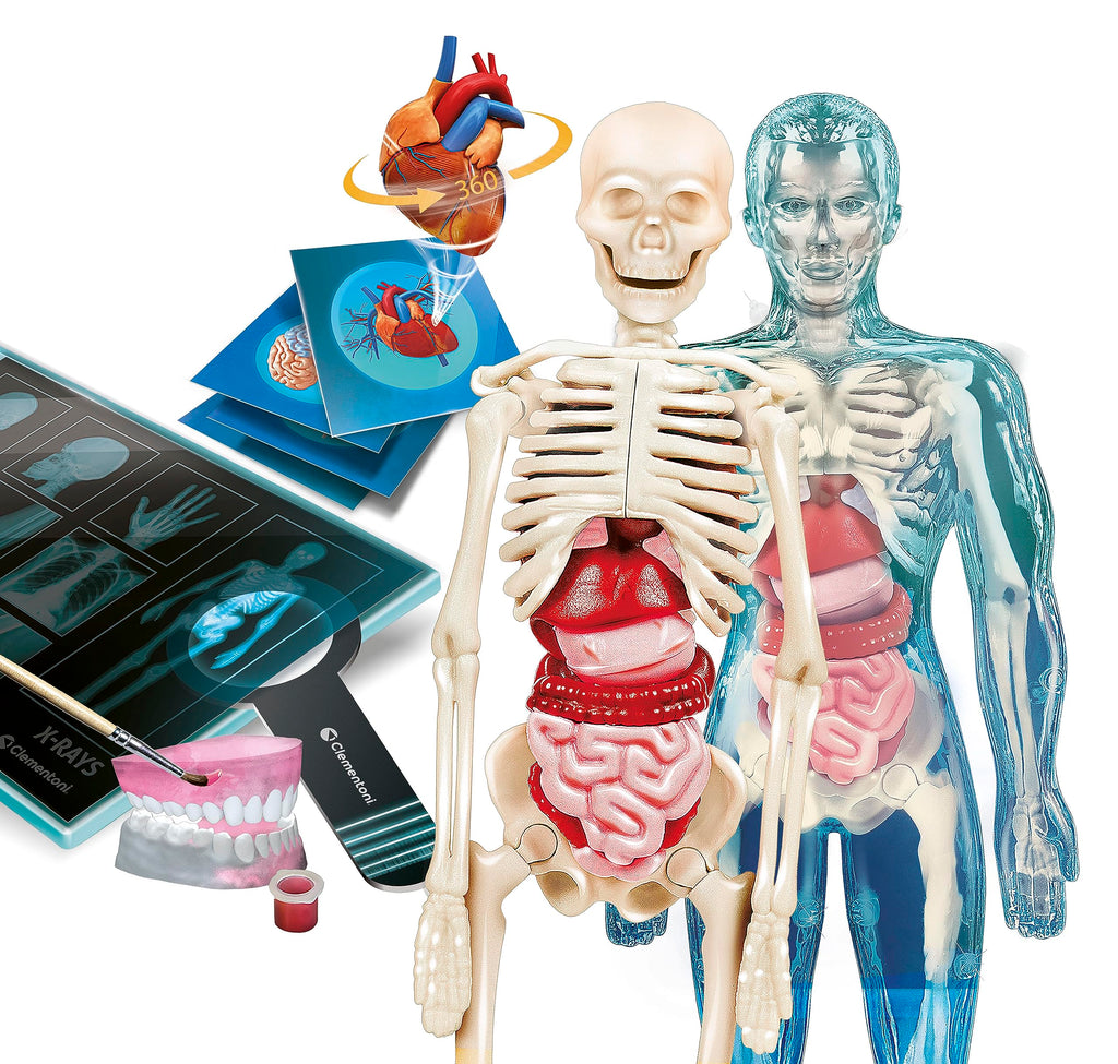 Clementoni Superanatomy - Scientific Anatomy Toy with Dedicated App and Augmented Reality, Discovering the Human Body, Ages 8+, Toy in Spanish (55509)