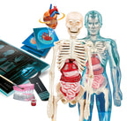 Clementoni Superanatomy - Scientific Anatomy Toy with Dedicated App and Augmented Reality, Discovering the Human Body, Ages 8+, Toy in Spanish (55509)