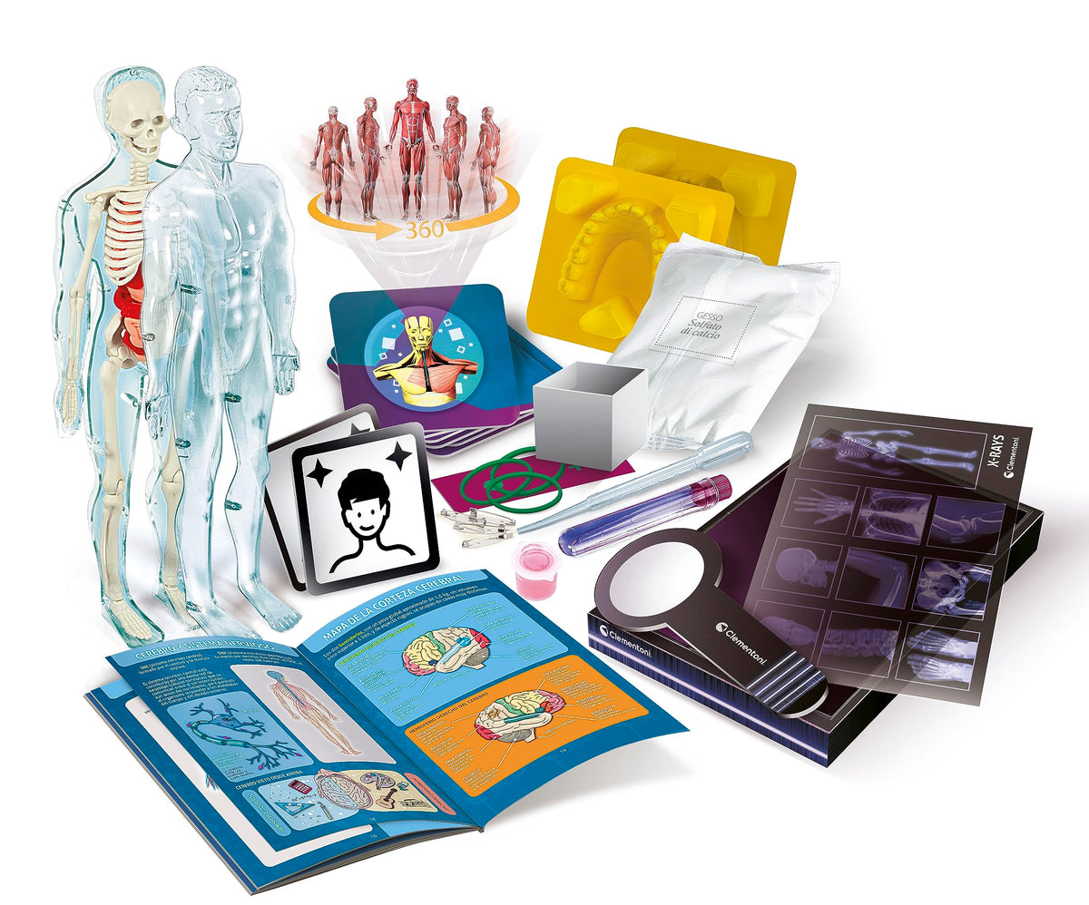 Clementoni Superanatomy - Scientific Anatomy Toy with Dedicated App and Augmented Reality, Discovering the Human Body, Ages 8+, Toy in Spanish (55509)